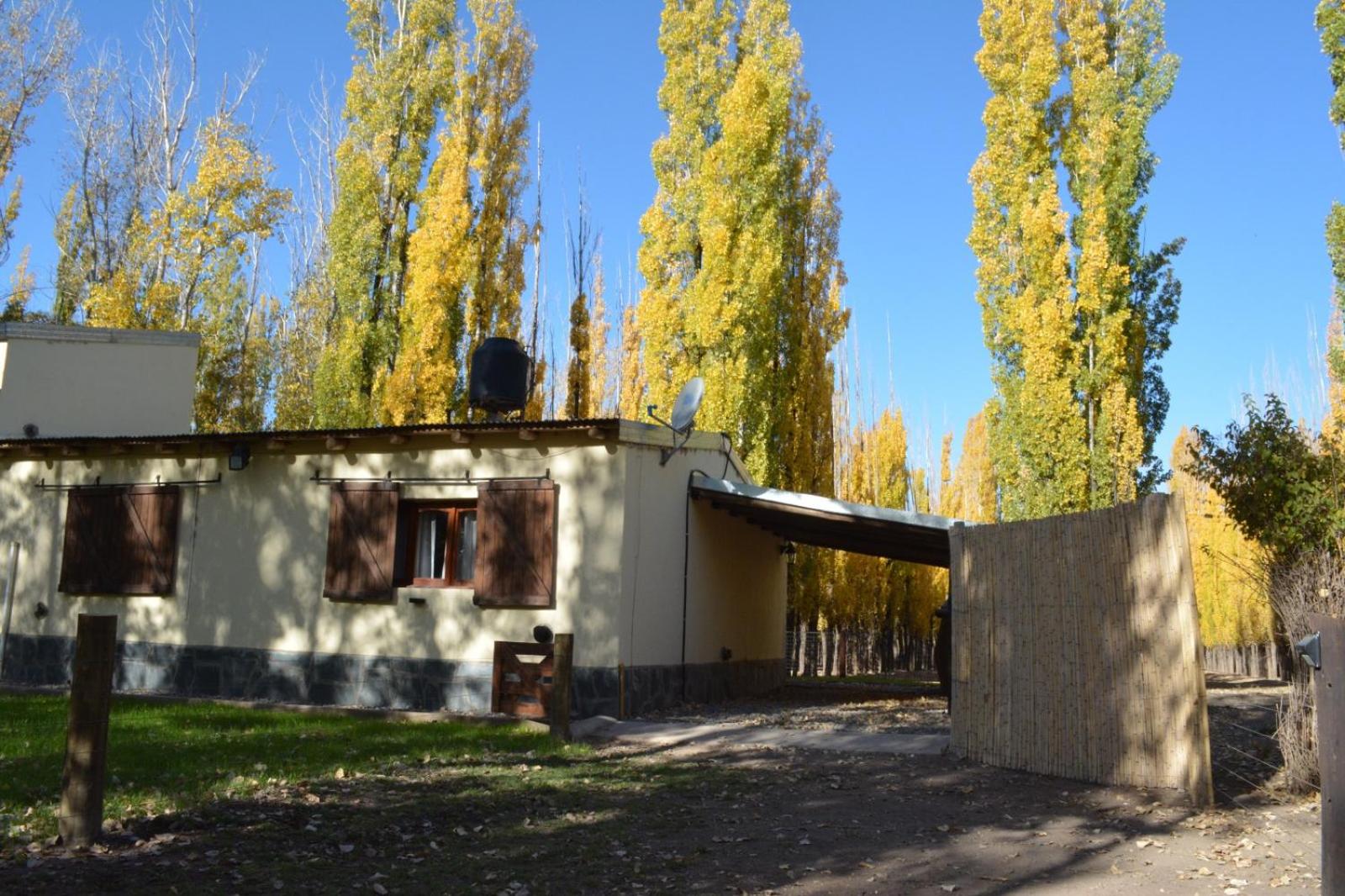 Cabañas El Álamo