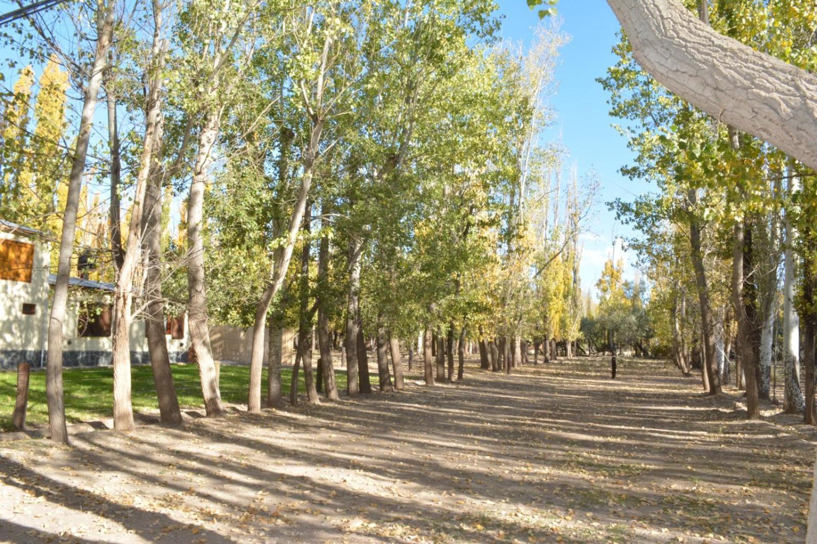 Cabañas El Álamo