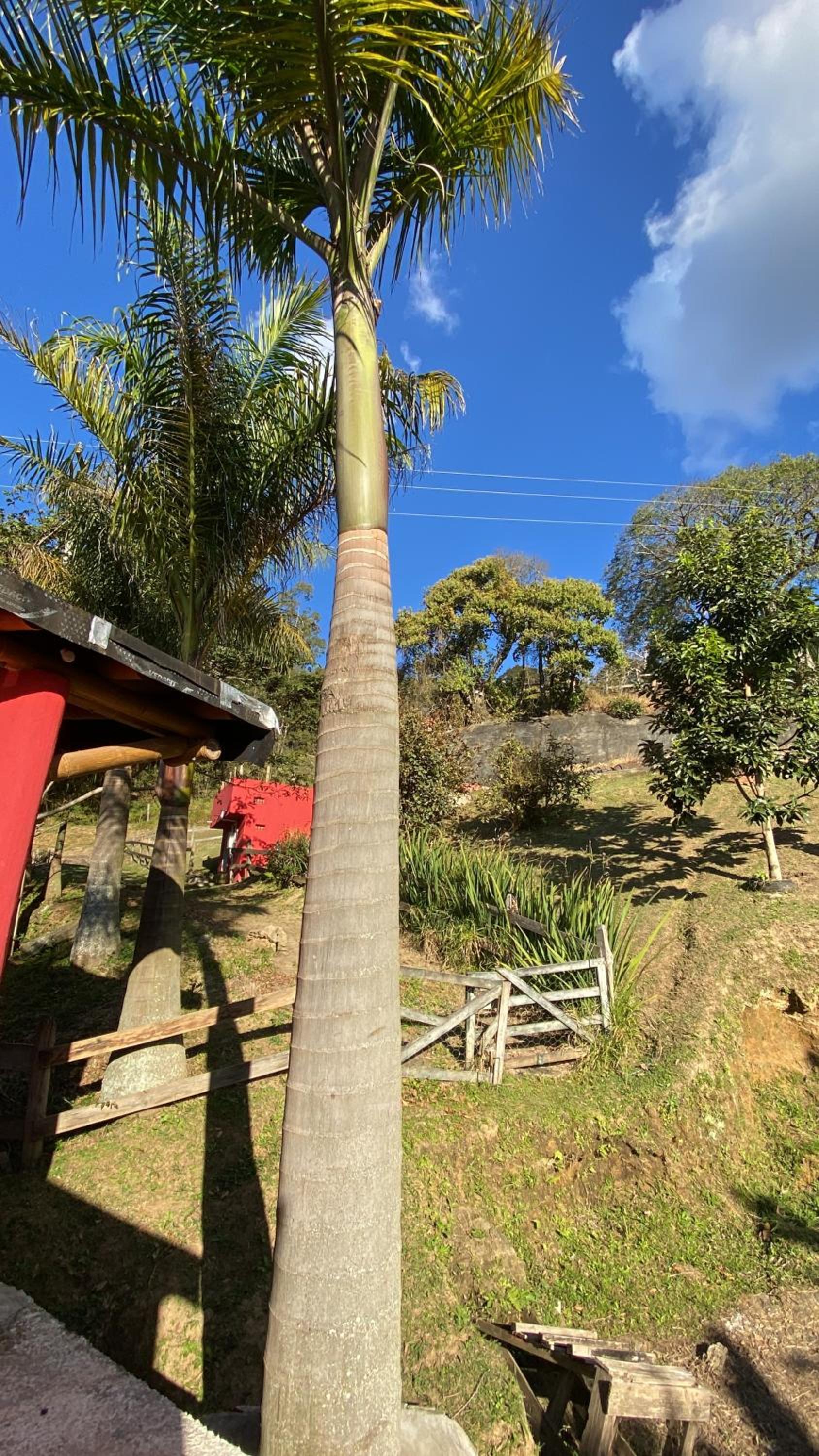 Chalés Sitio Mangala