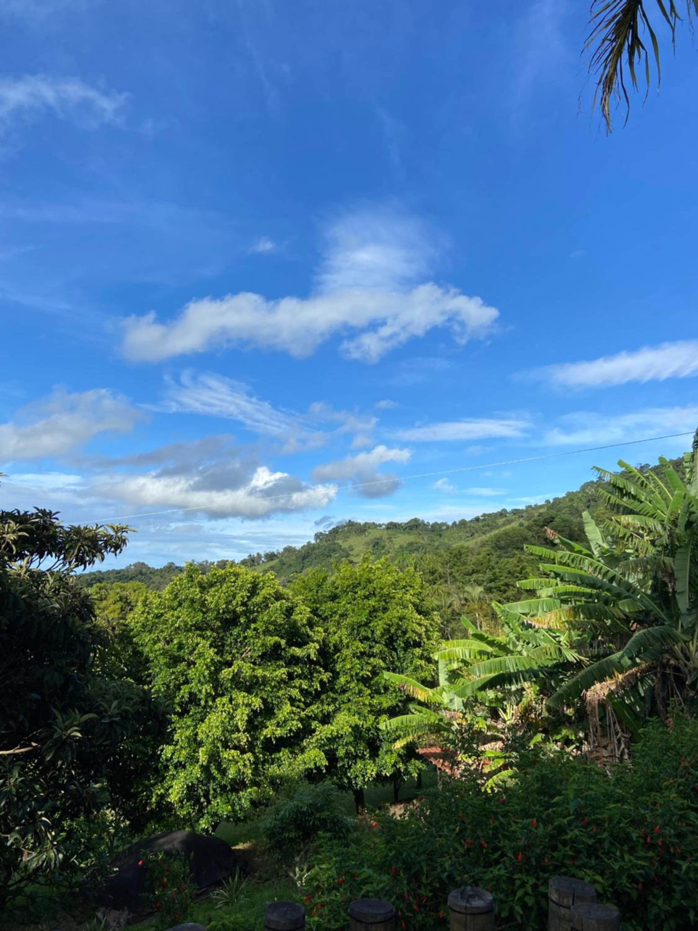 Chalés Sitio Mangala