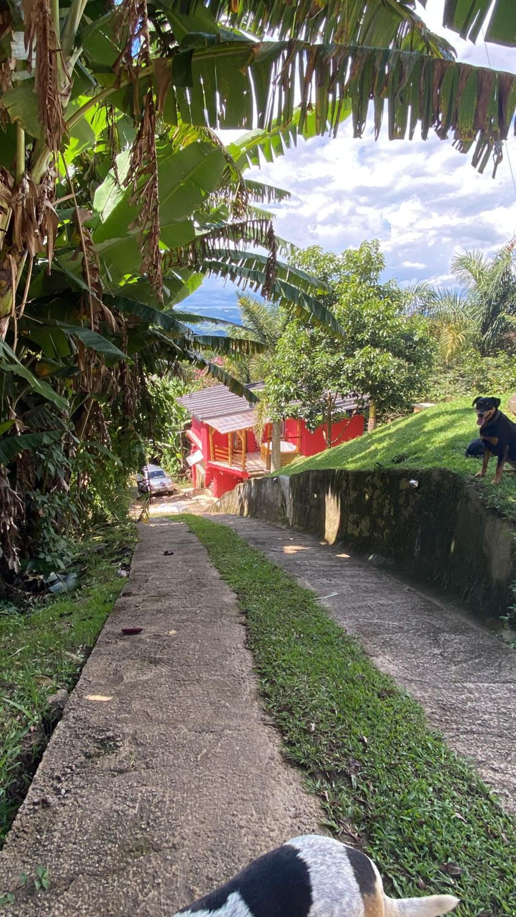 Chalés Sitio Mangala