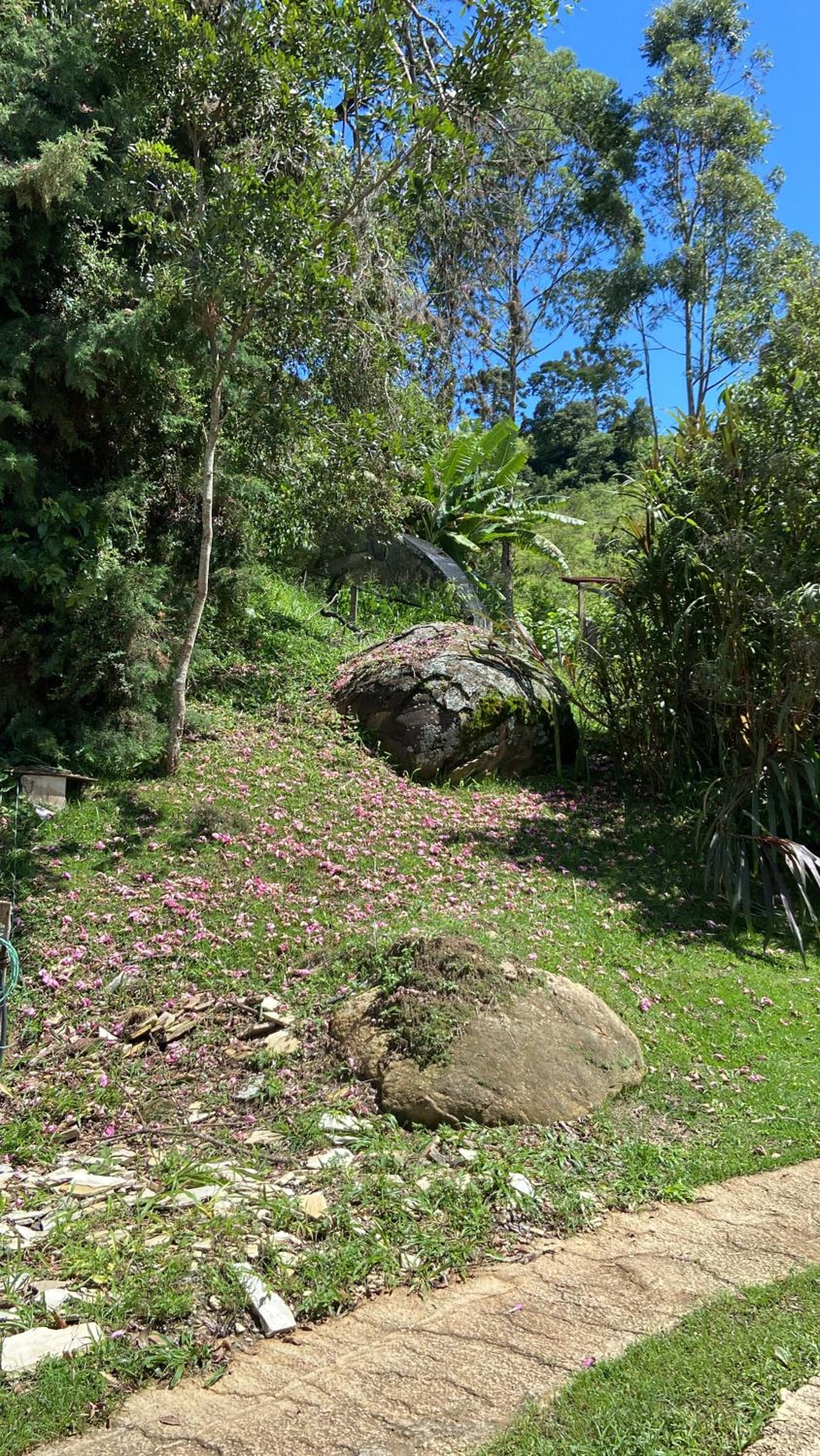 Chalés Sitio Mangala