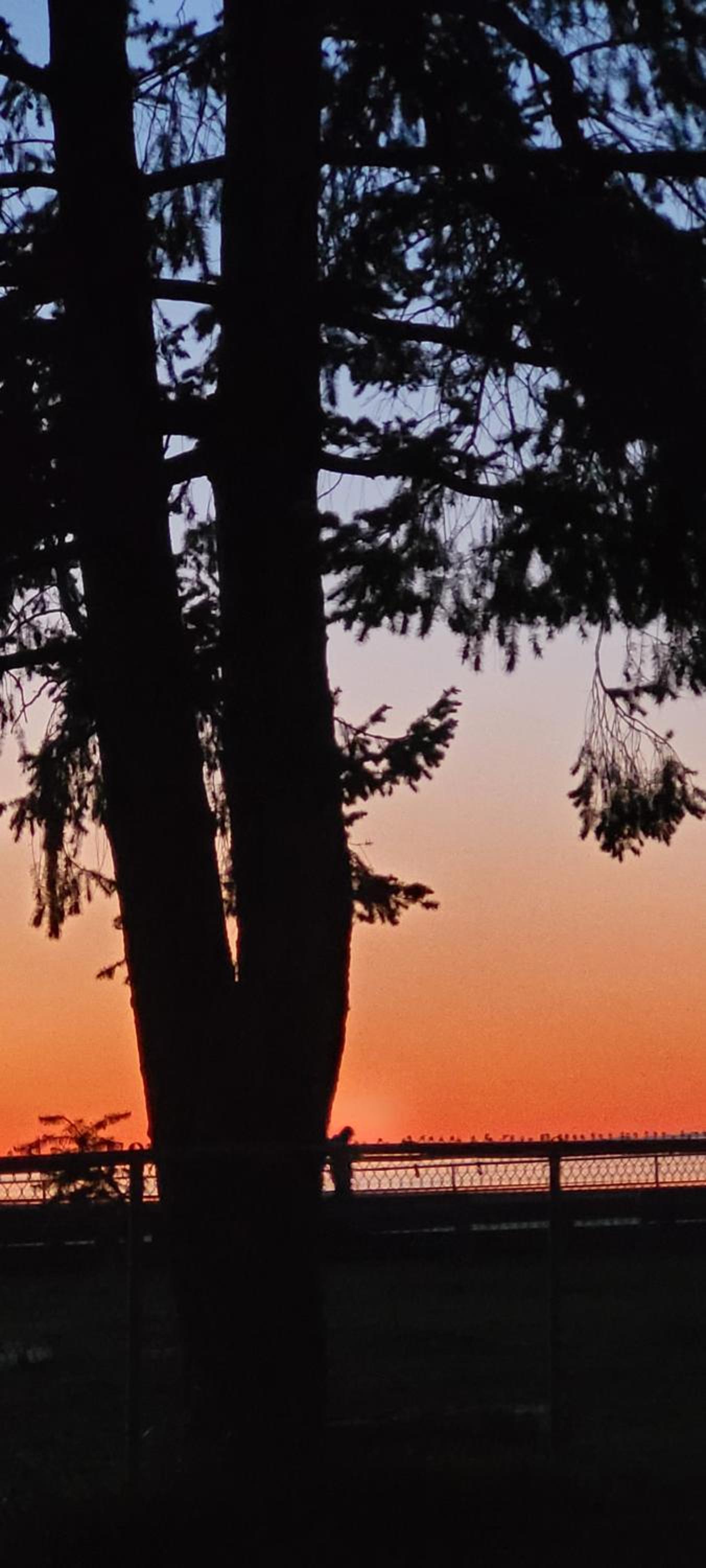Cute Tiny Home At Park Sands Resort Parksville