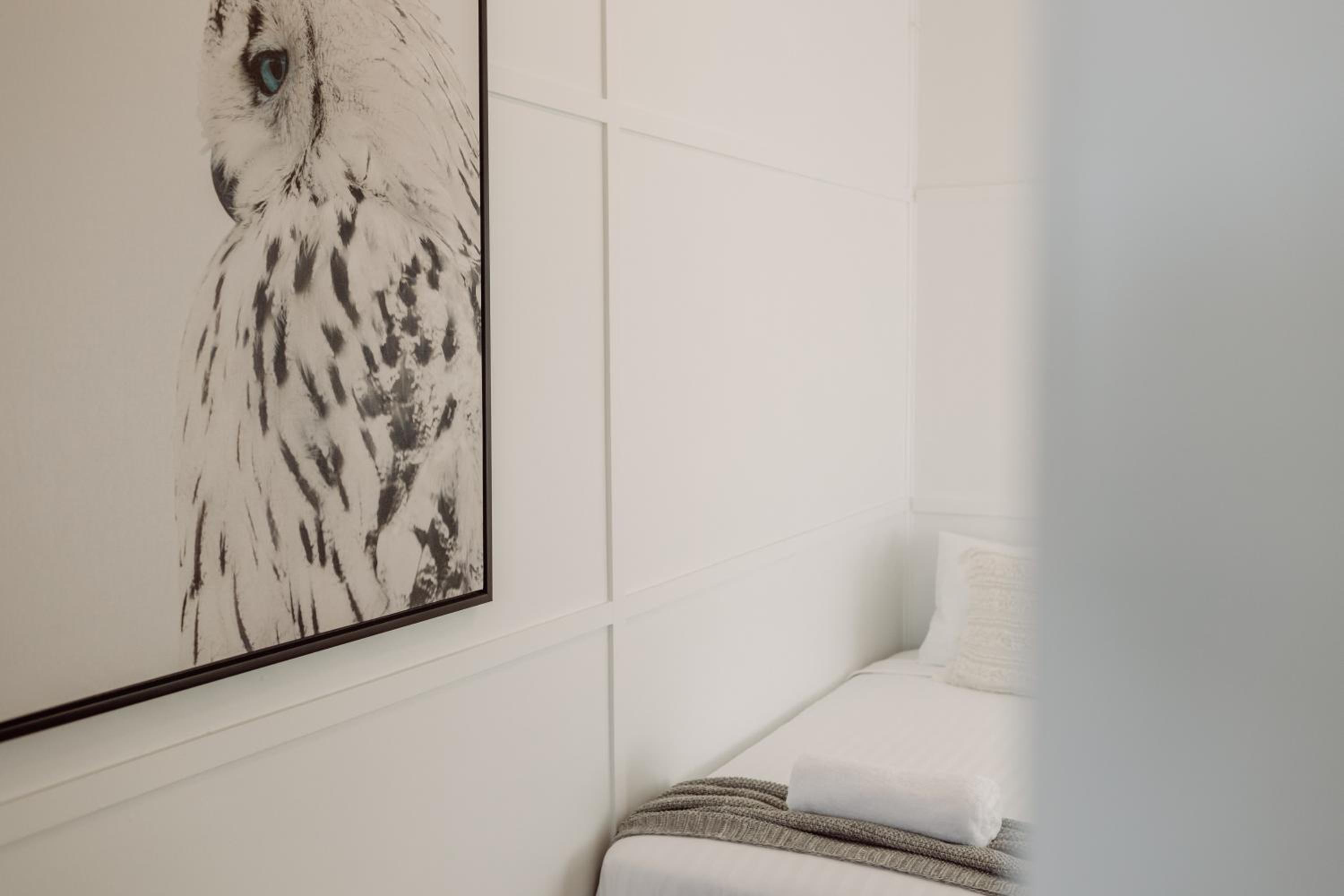 Beachside Pet-Friendly Retreat in Mooloolaba