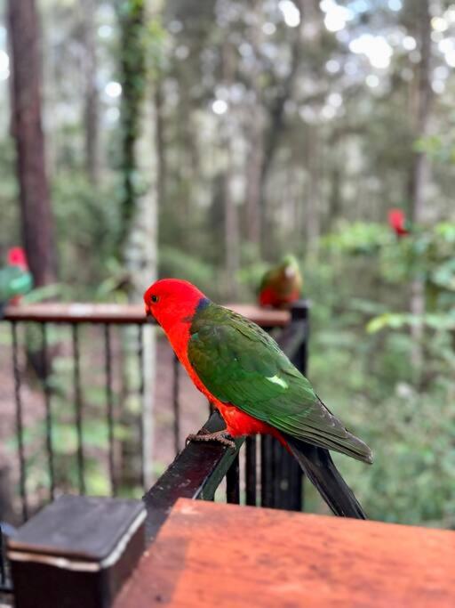 The Cabin Barrington Tops Your Eco Place in Nature