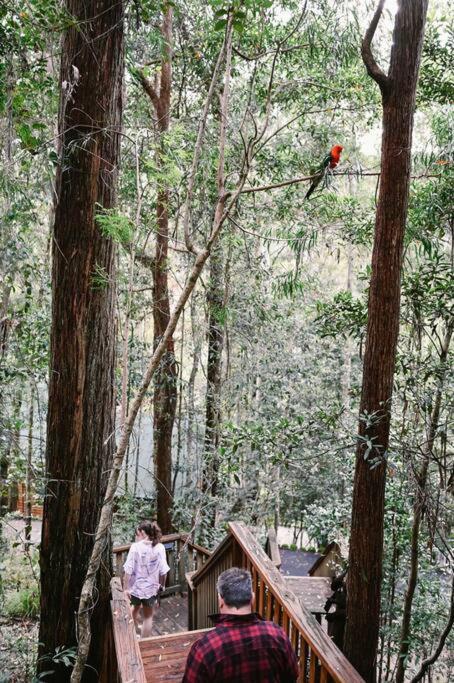 The Cabin Barrington Tops Your Eco Place in Nature