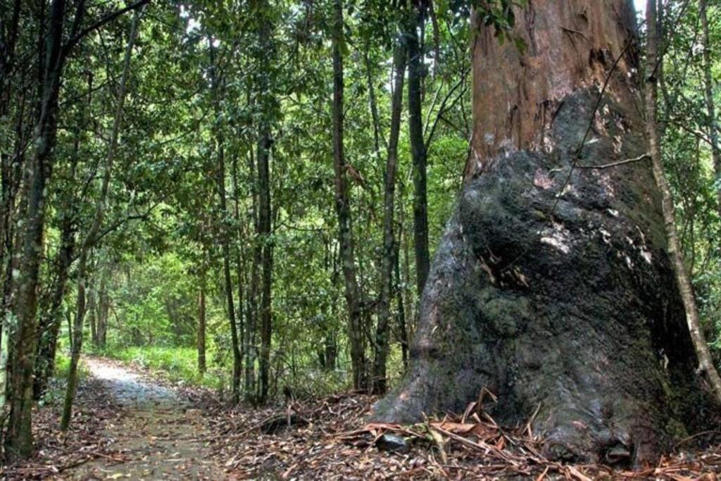 The Cabin Barrington Tops Your Eco Place in Nature