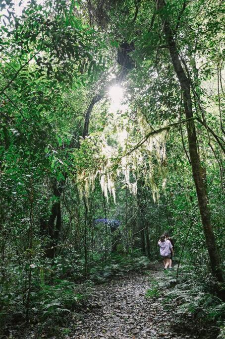 The Cabin Barrington Tops Your Eco Place in Nature