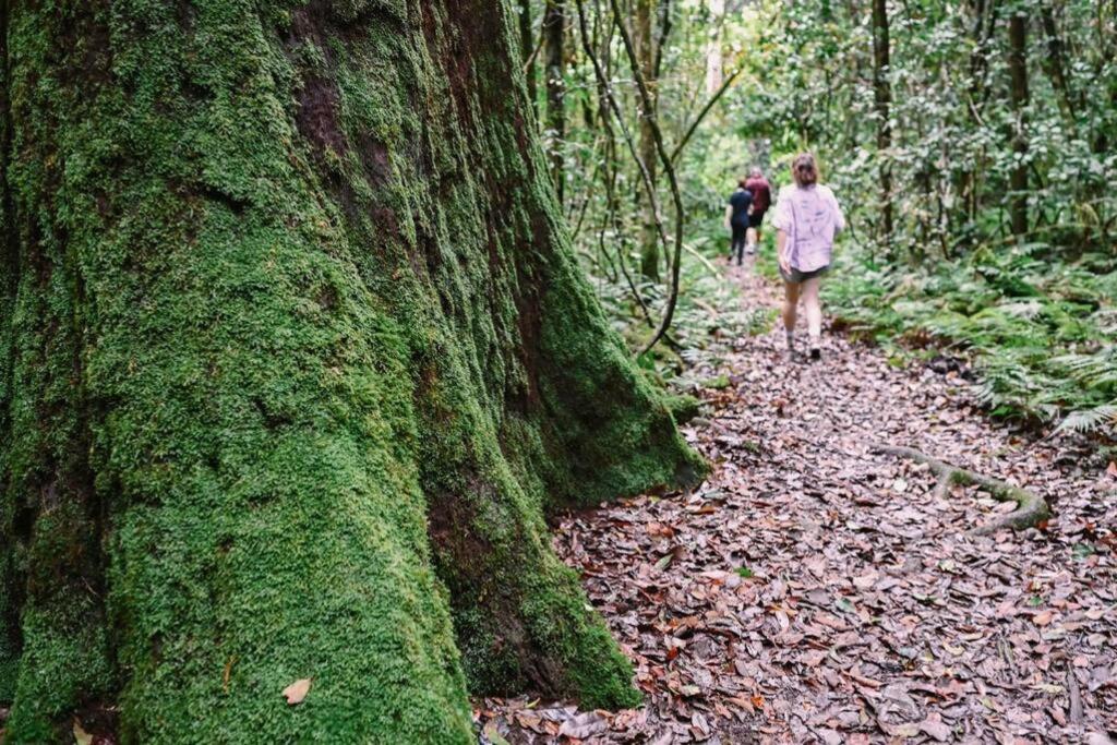 The Cabin Barrington Tops Your Eco Place in Nature