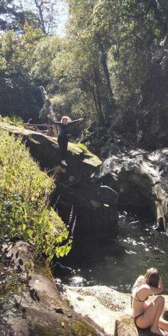 The Cabin Barrington Tops Your Eco Place in Nature