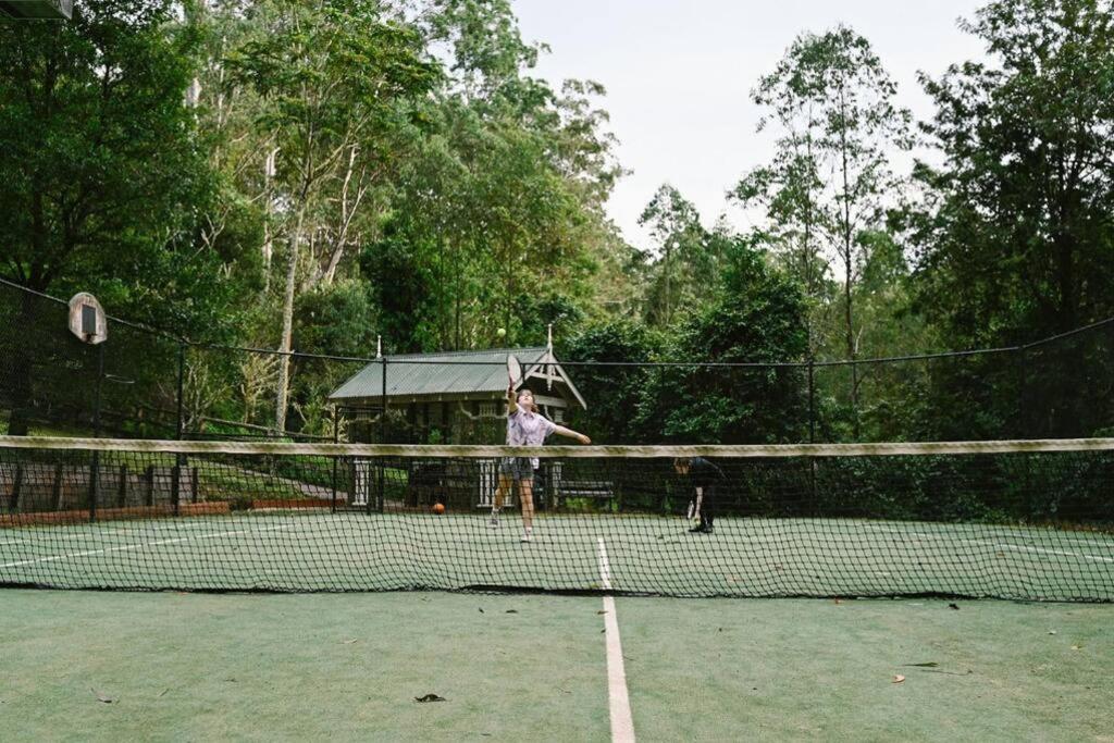 The Cabin Barrington Tops Your Eco Place in Nature