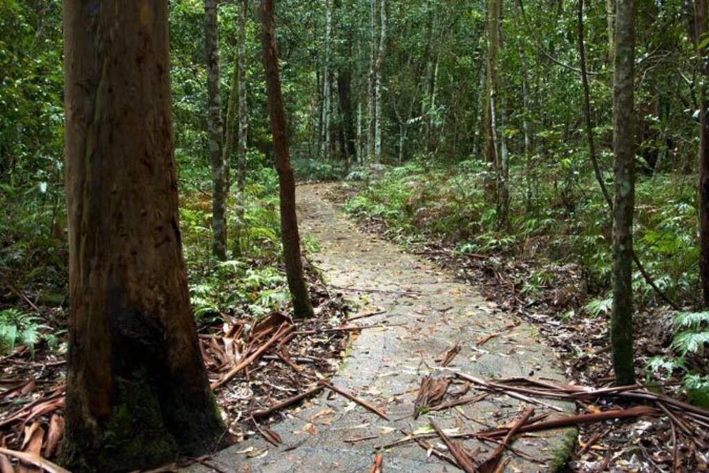 The Cabin Barrington Tops Your Eco Place in Nature