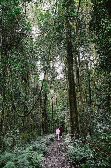 The Cabin Barrington Tops Your Eco Place in Nature