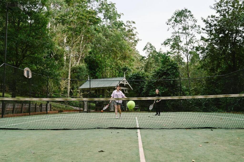 The Cabin Barrington Tops Your Eco Place in Nature