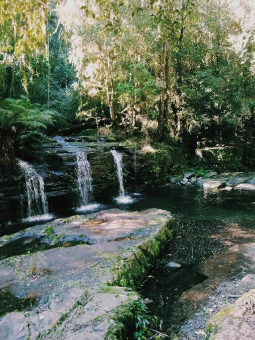 The Cabin Barrington Tops Your Eco Place in Nature
