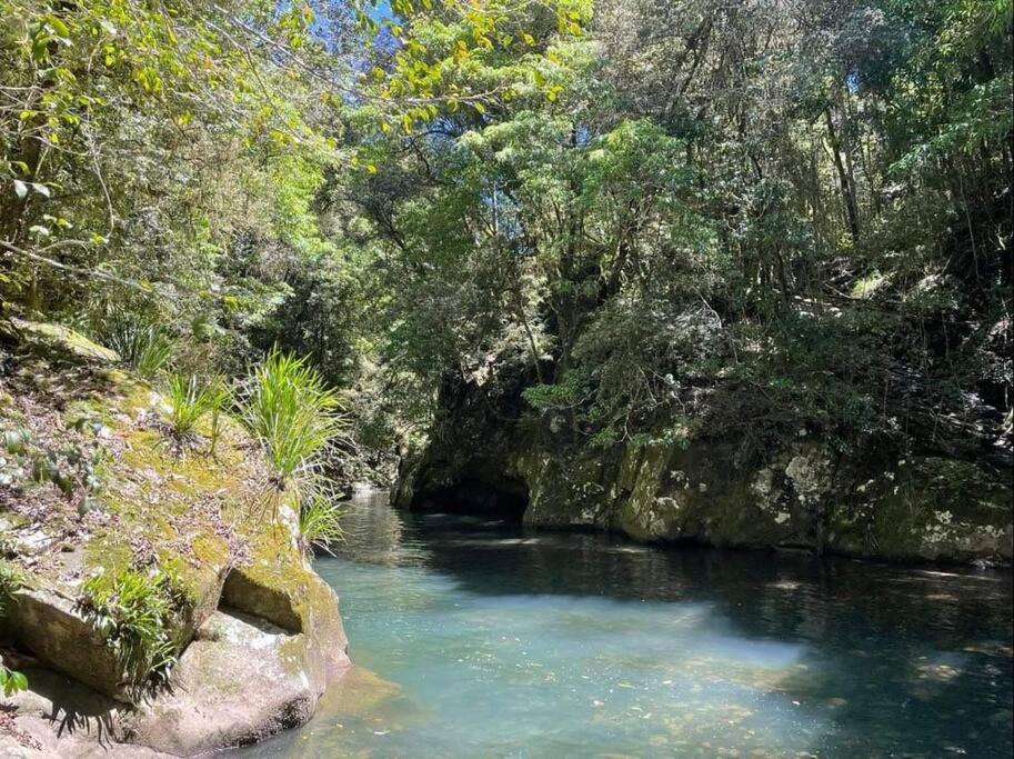 The Cabin Barrington Tops Your Eco Place in Nature