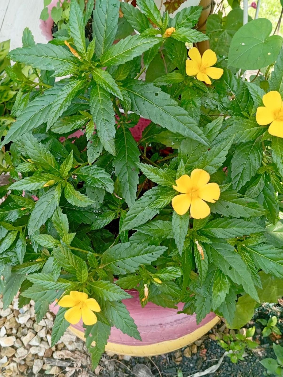Reserva La Esperanza