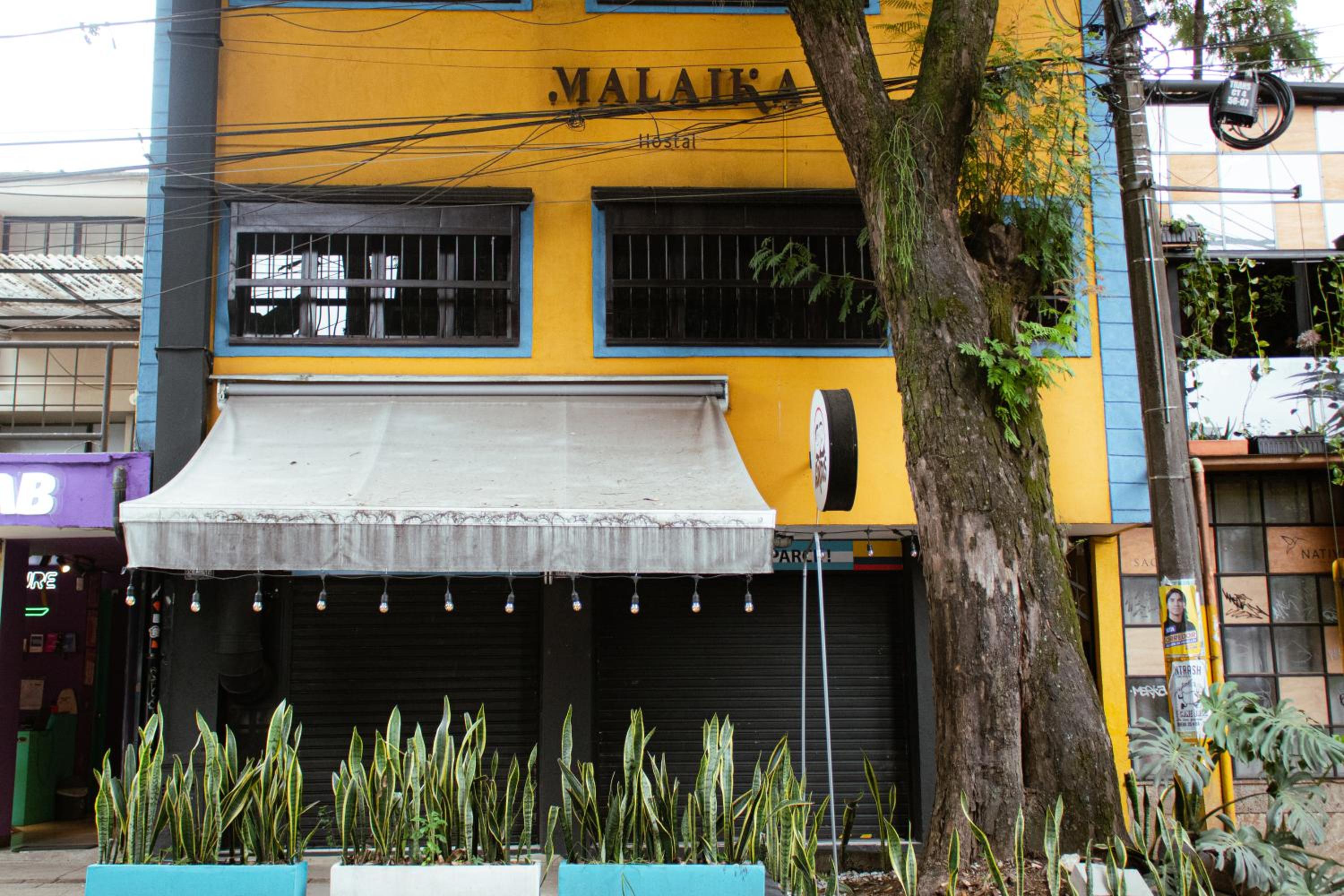 Malaika Hostel Medellín view 5