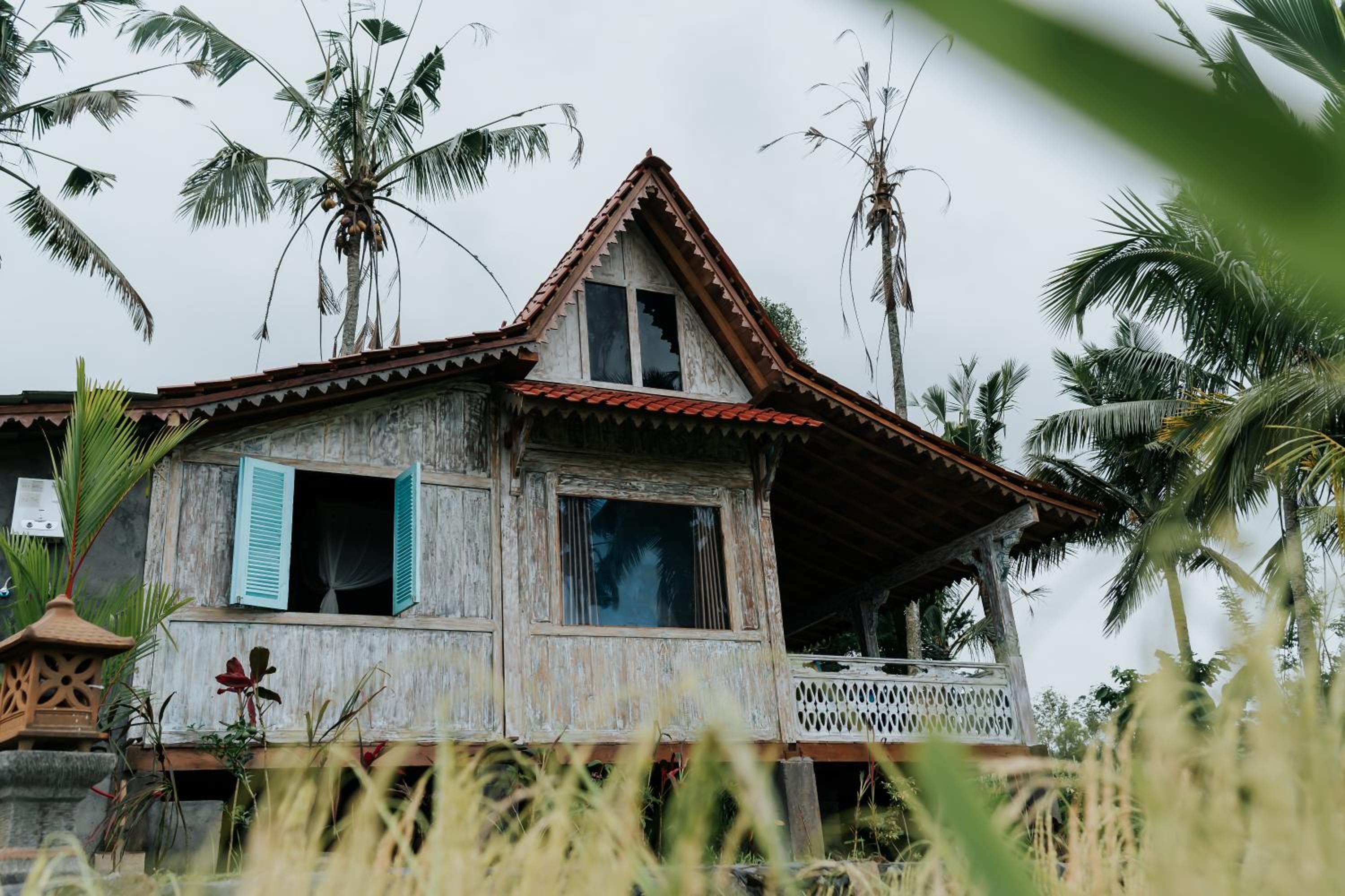 D'Ume Bendoel Homestay view 2
