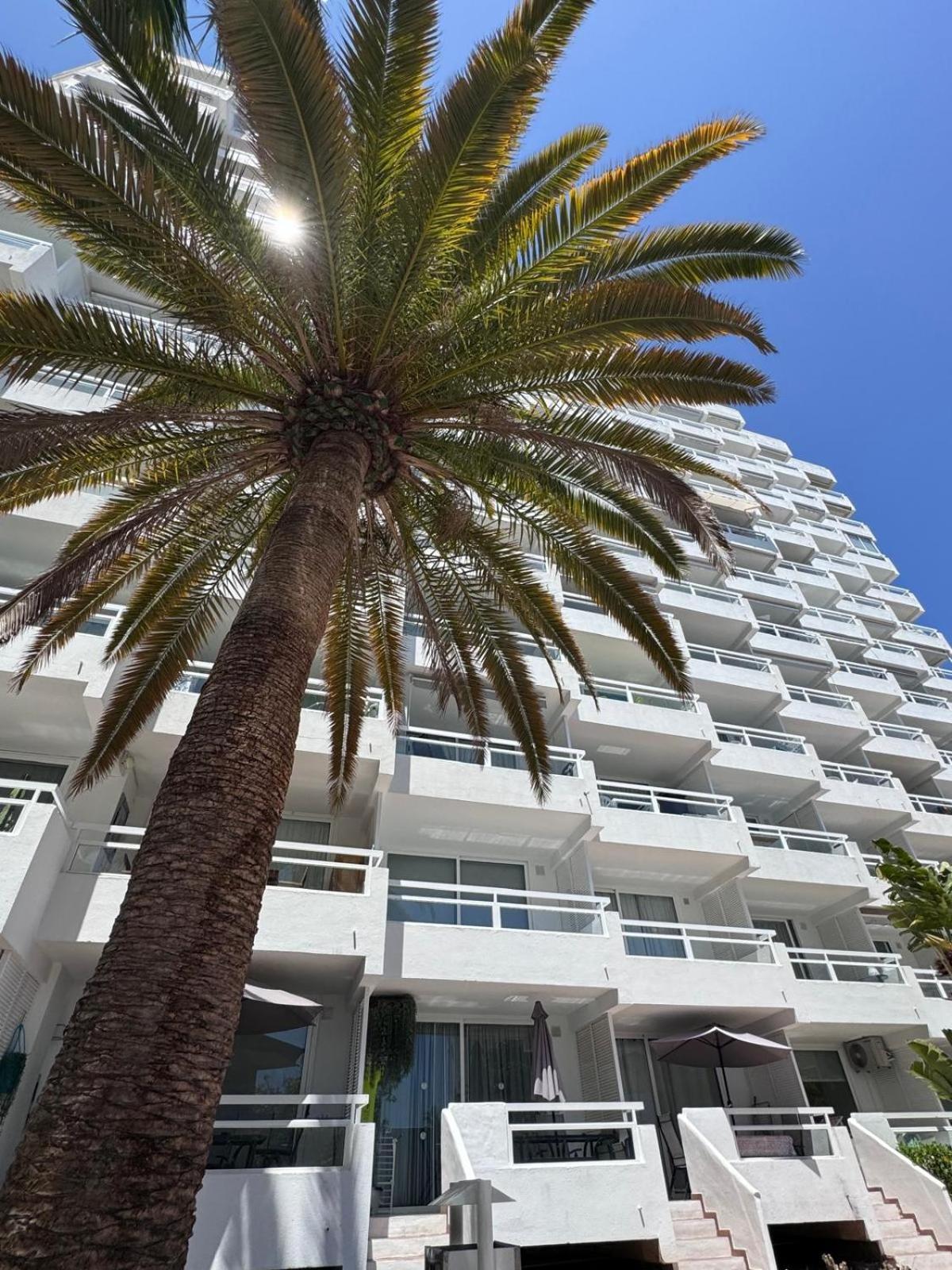Paraiso Ponderosa, lovely estudio las americas