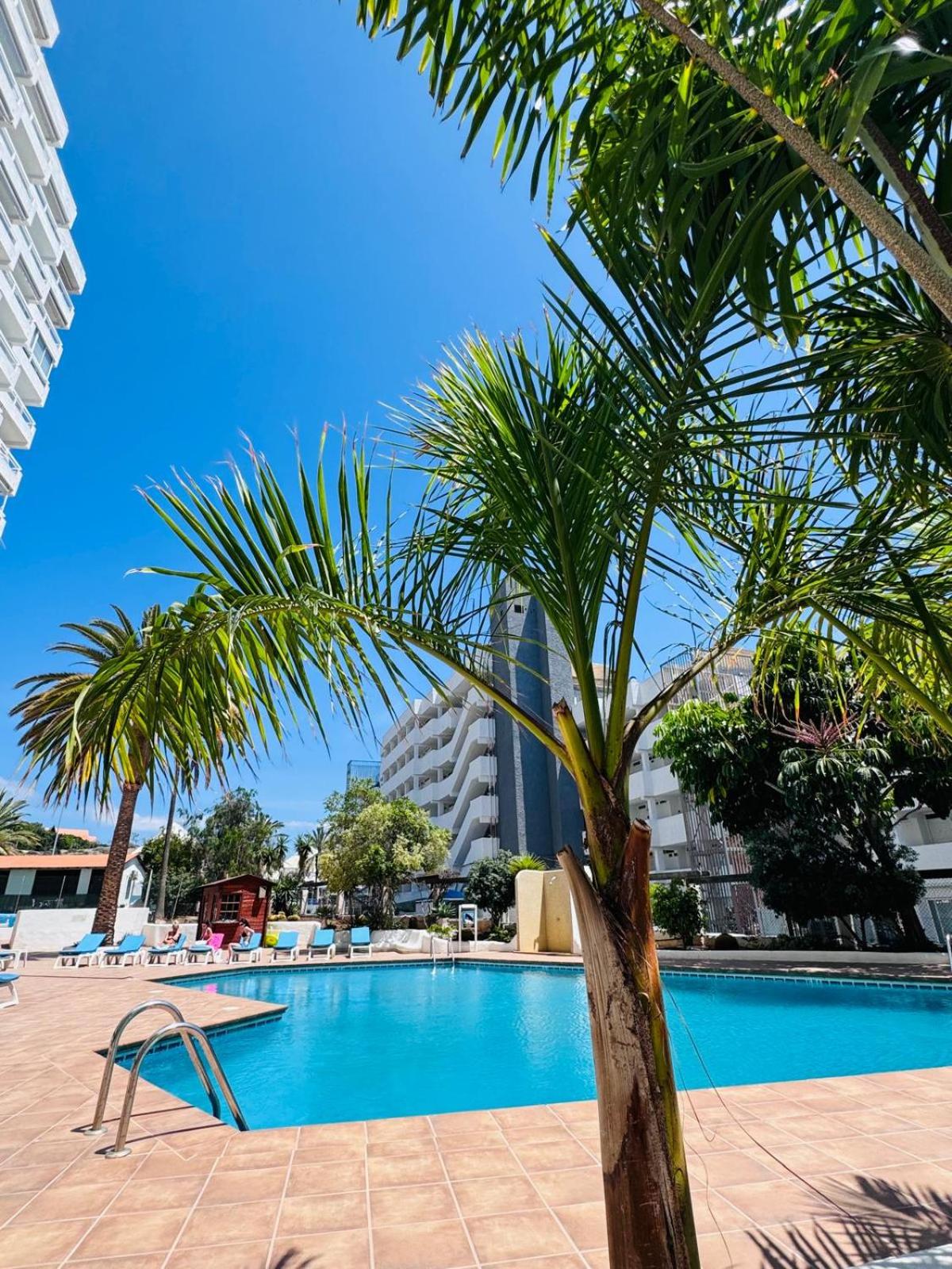 Paraiso Ponderosa, lovely estudio las americas