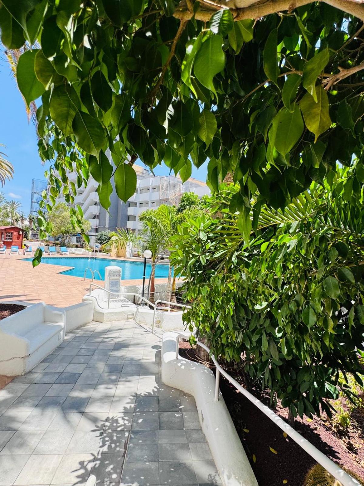 Paraiso Ponderosa, lovely estudio las americas