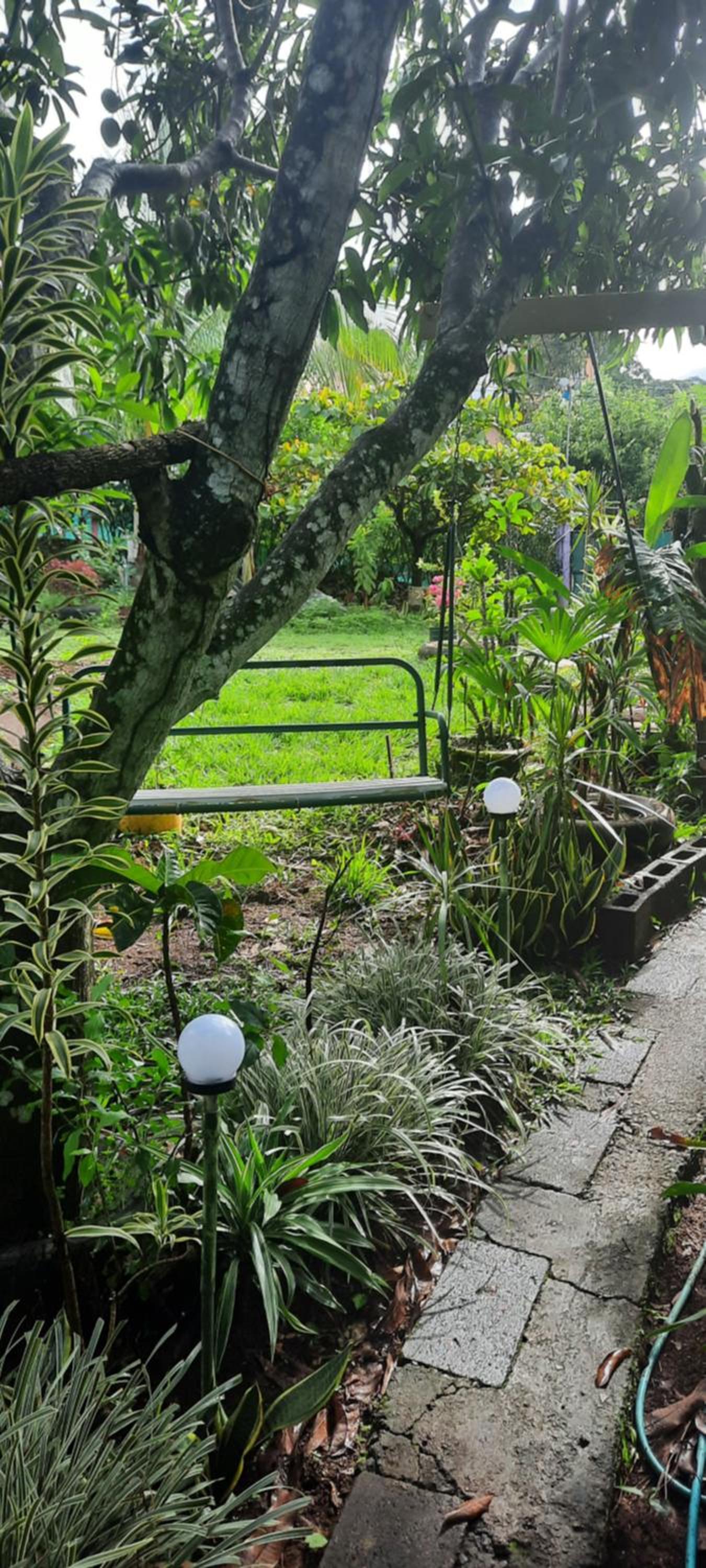 Cabaña bosque verde