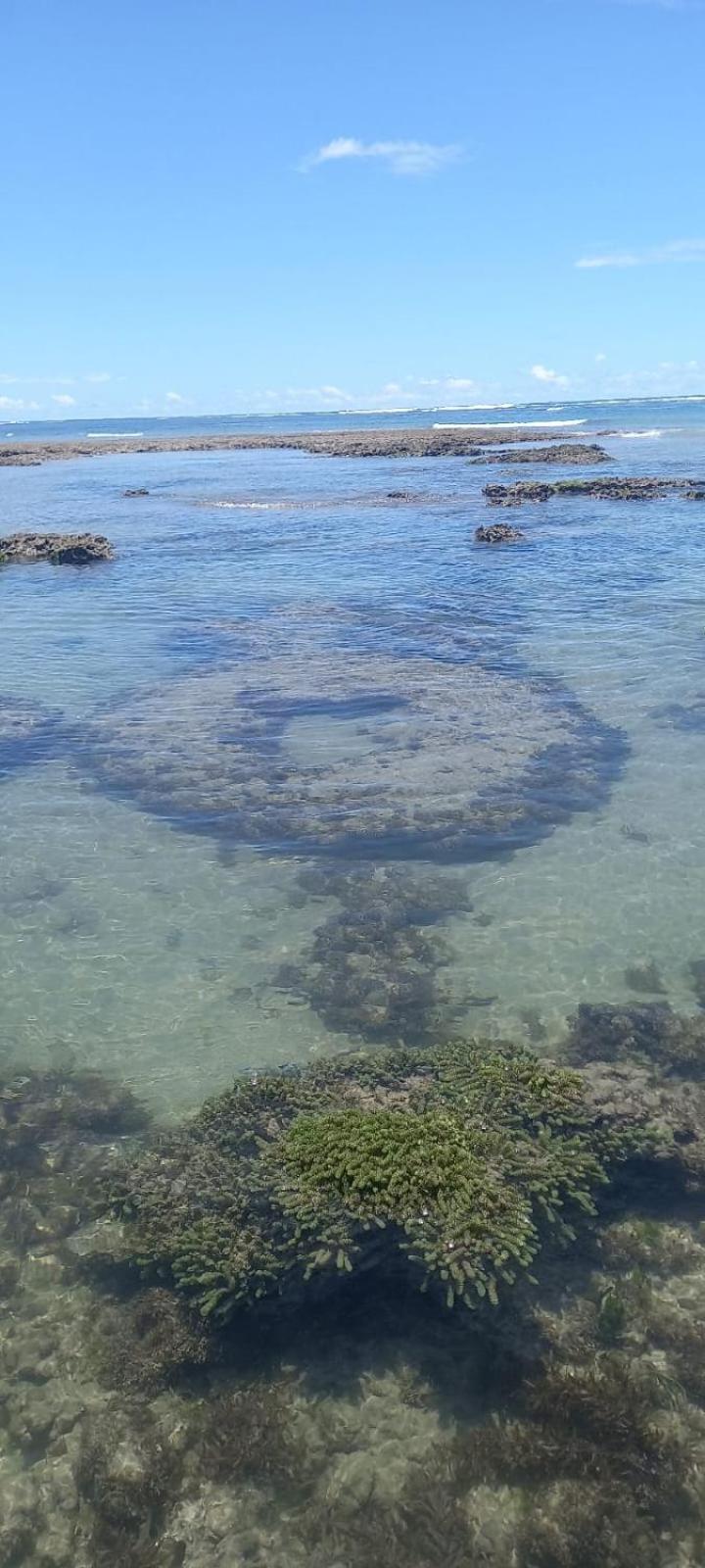 Casa à beira mar em frente às piscinas naturais de Flecheiras - CONDOMÍNIO PIER 18
