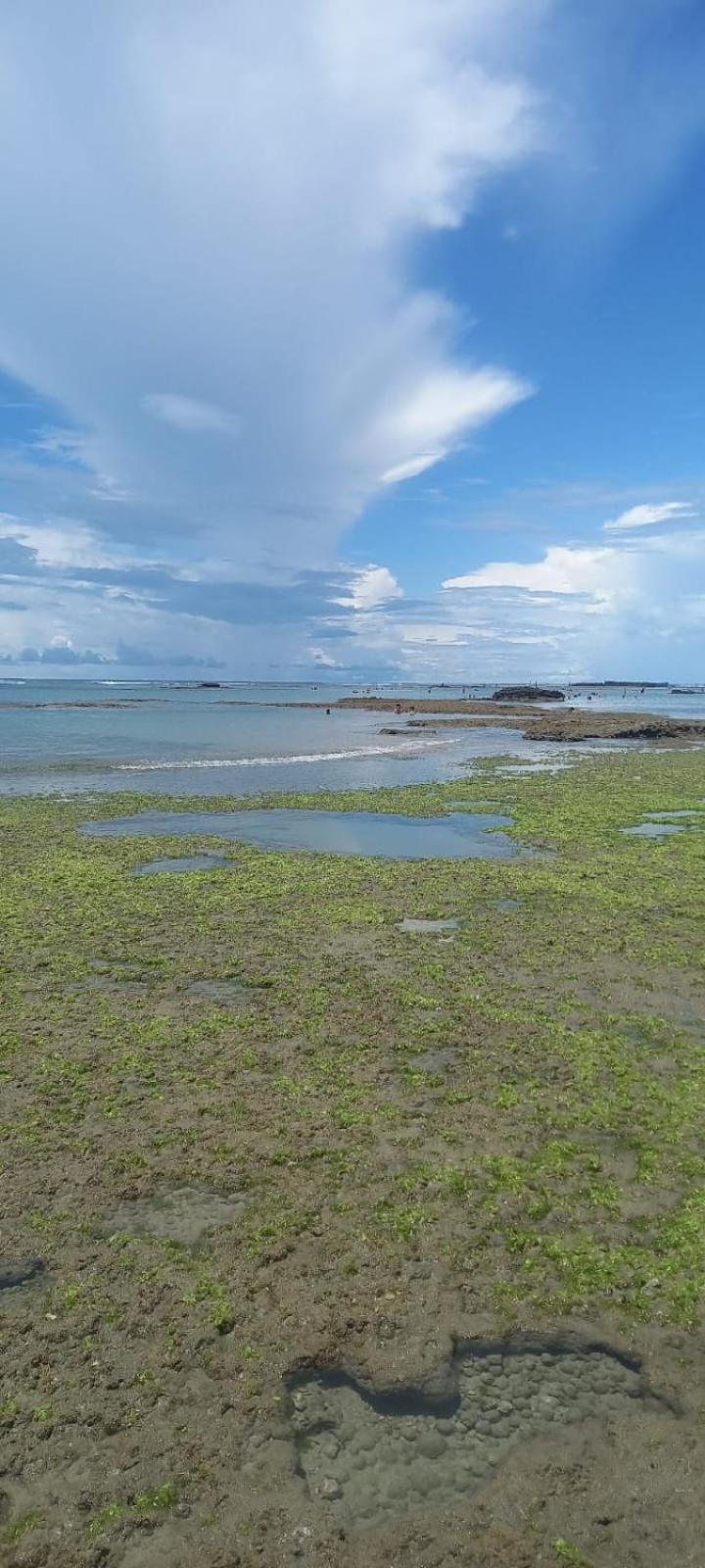 Casa à beira mar em frente às piscinas naturais de Flecheiras - CONDOMÍNIO PIER 18