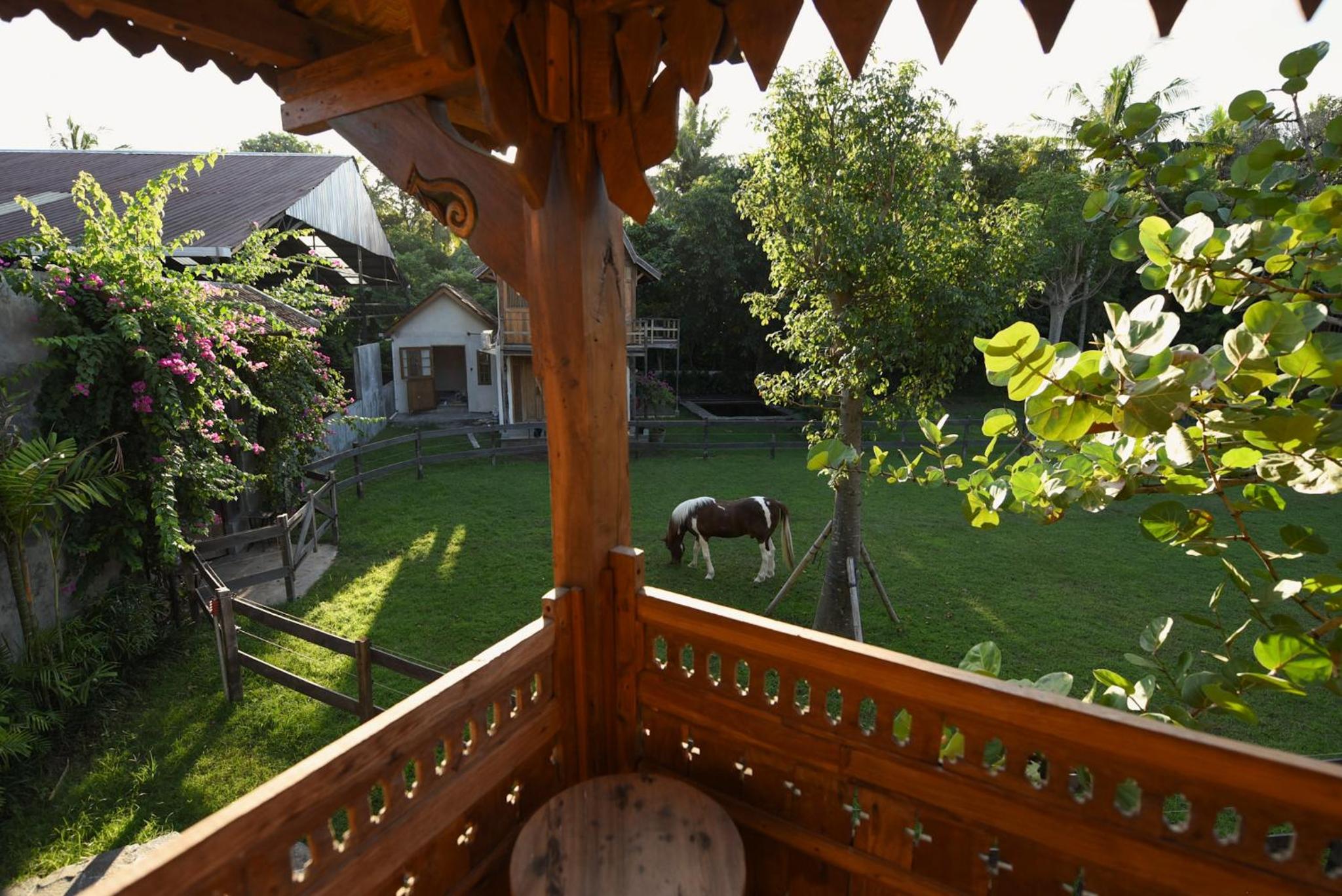 Salty Cowboy Luxury Cottages Kedungu view 4