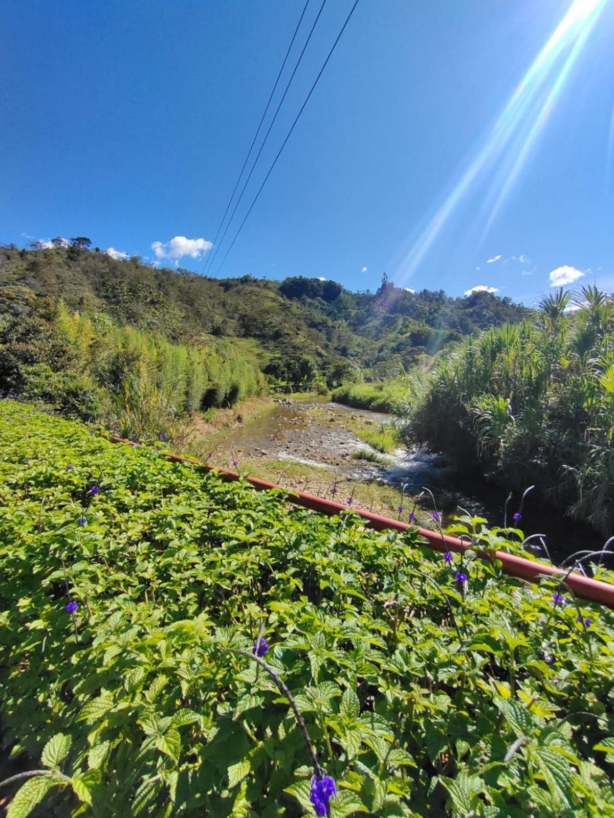 Finca Curva de Paraíso