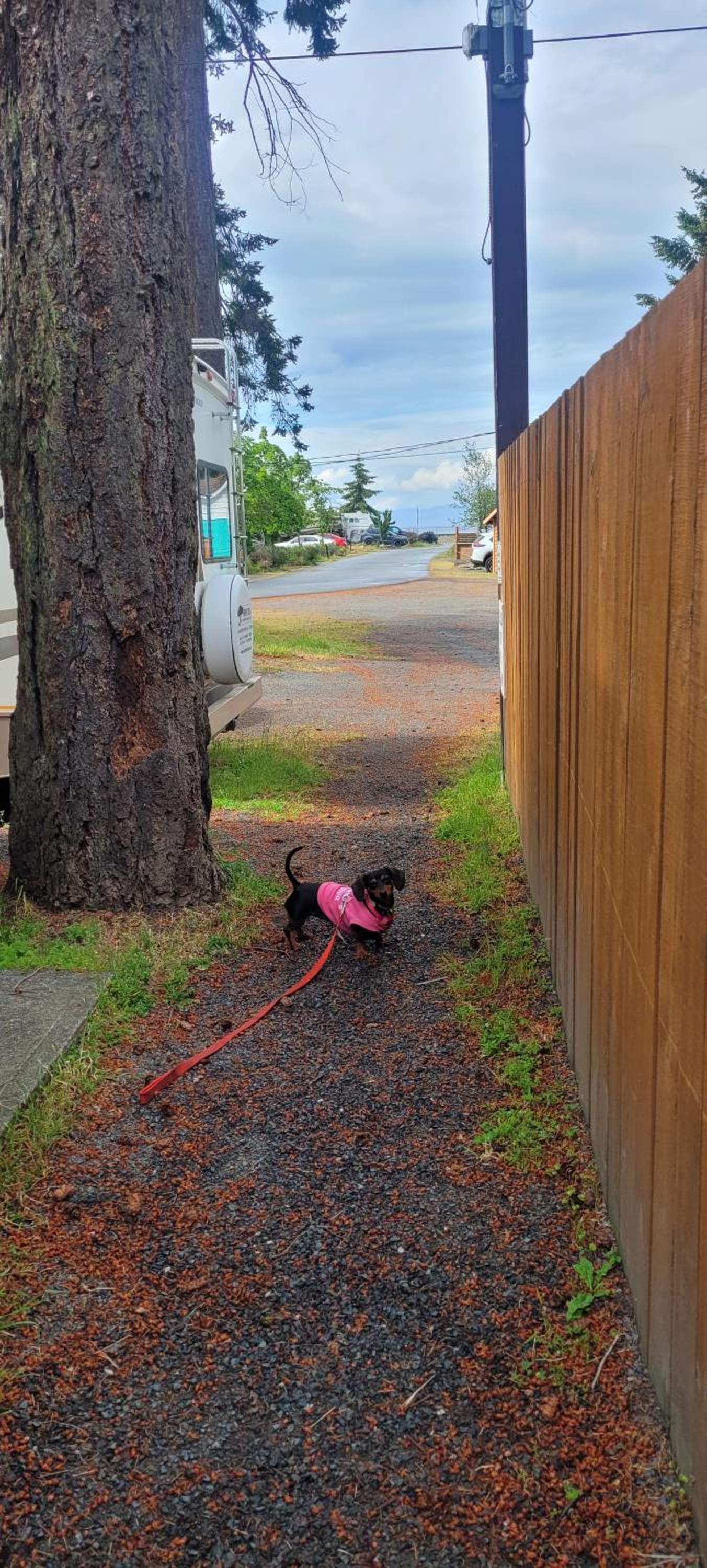 Cute Tiny Home At Park Sands Resort Parksville