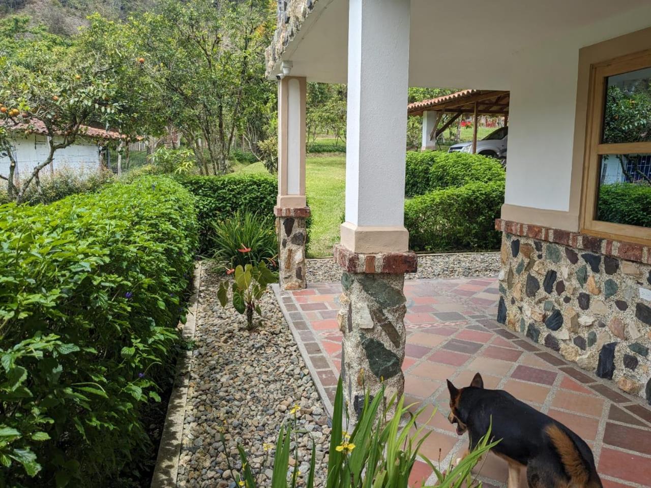 Finca Curva de Paraíso