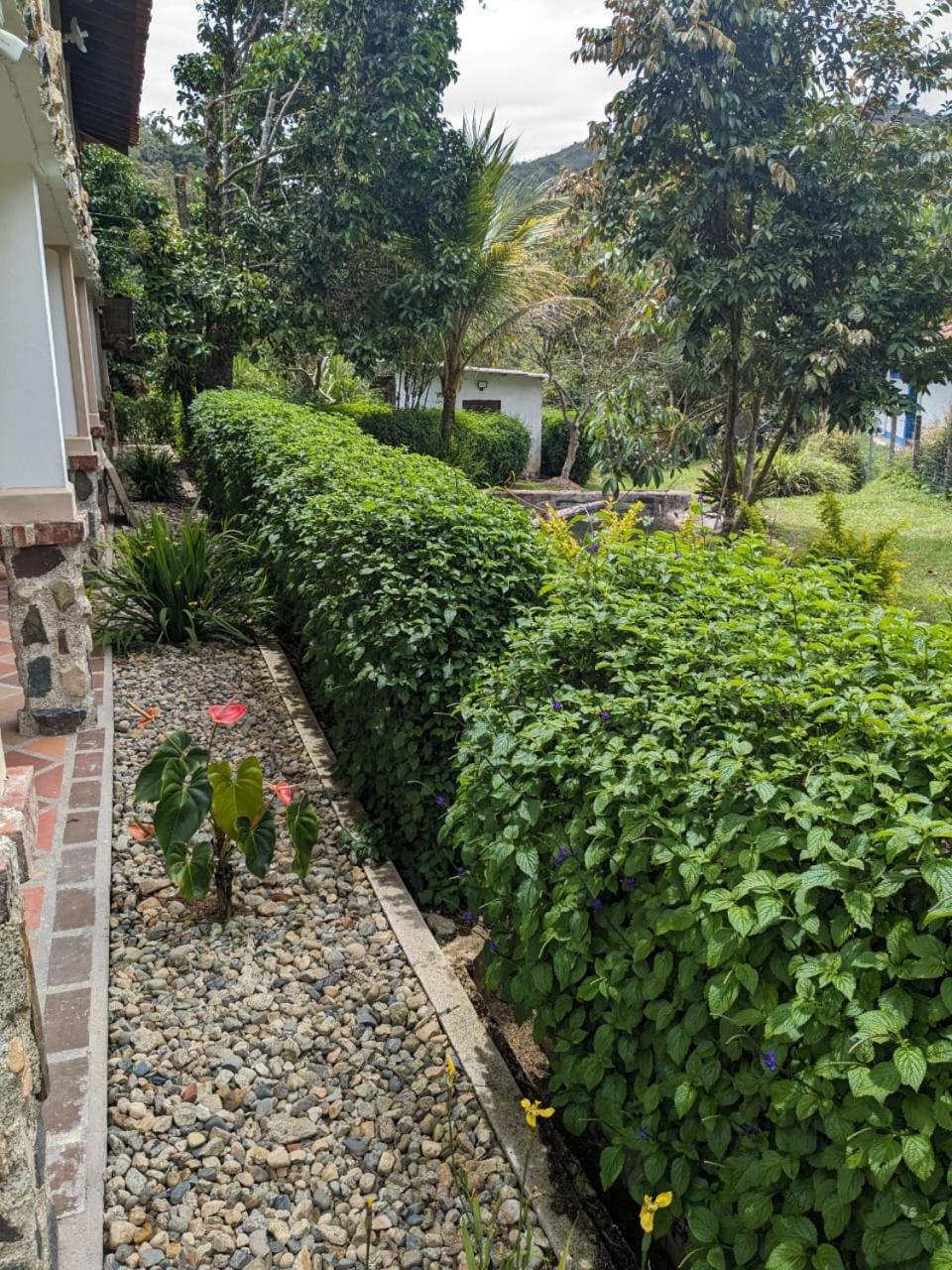 Finca Curva de Paraíso