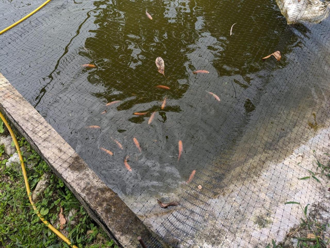 Finca Curva de Paraíso