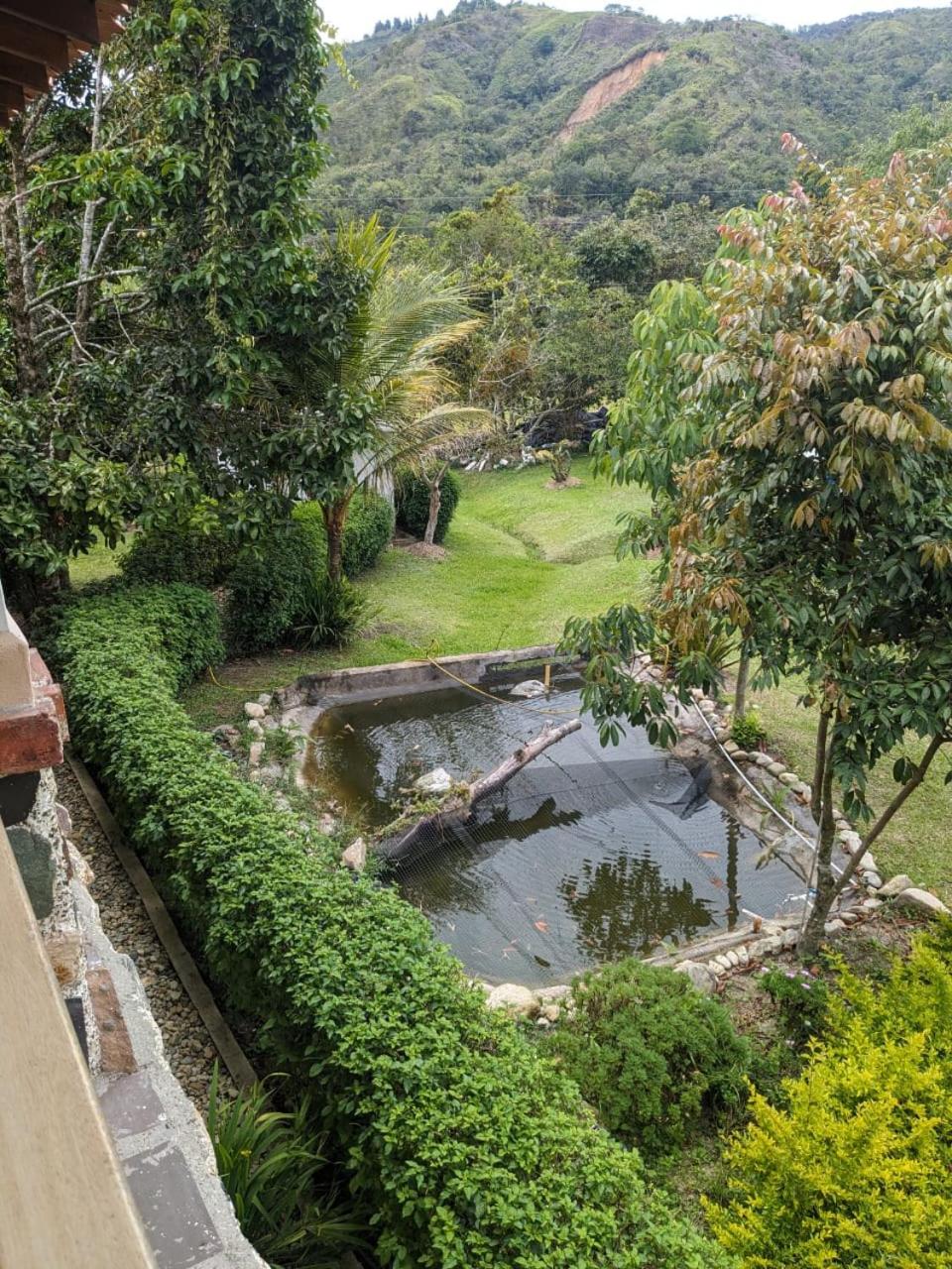Finca Curva de Paraíso