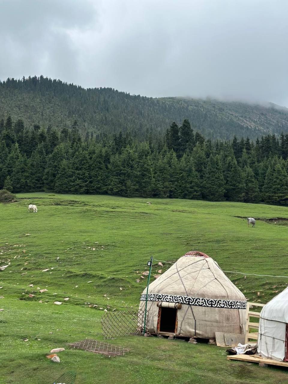 other