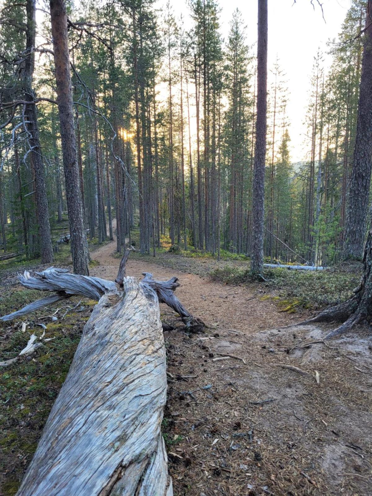 Viihtyisä ja tilava mökki, Pytkykaksonen B