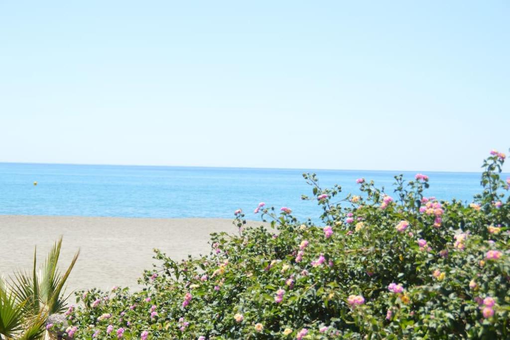Apartamento nuevo, Disfruta del silencio, familias con niños, aire acondicionado, 2 baños, Wifi, terraza, playa, toallas y sombrillas