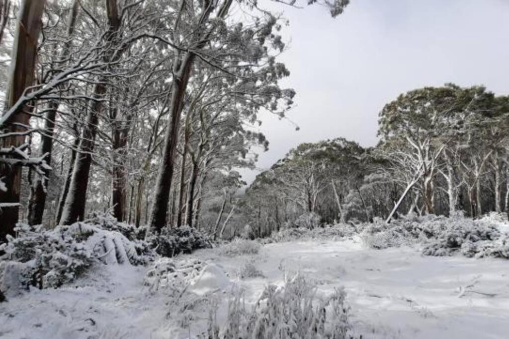 Badger Creek Hideaway
