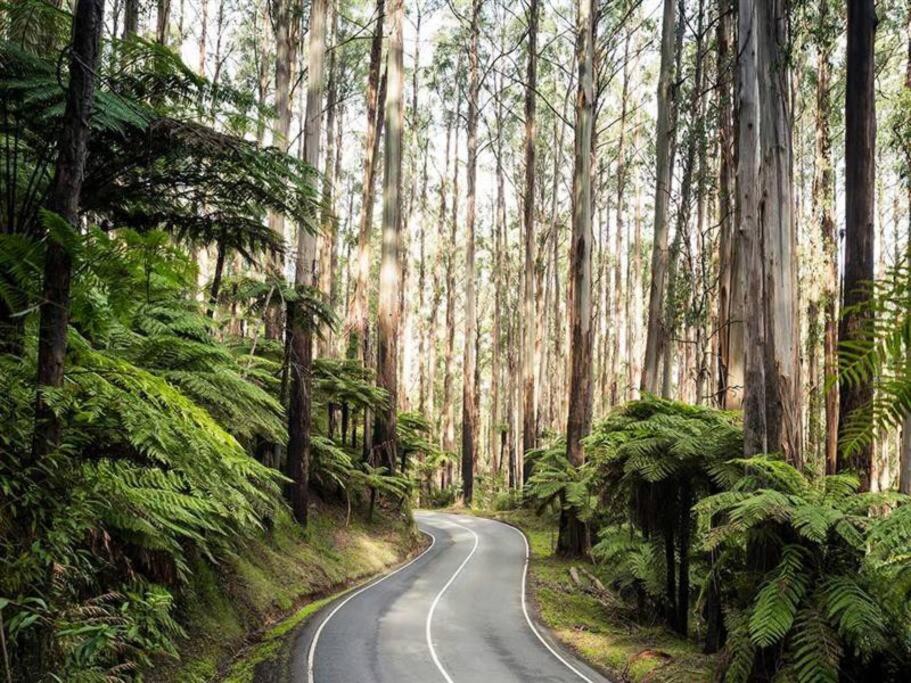 Badger Creek Hideaway