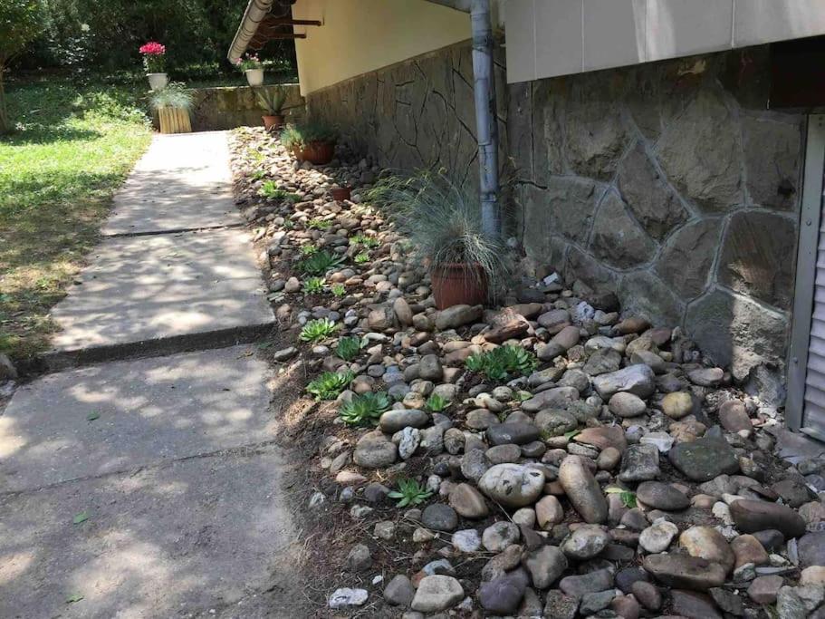 Kőkereszt Vendégház Kutyabaràt apartman view 3