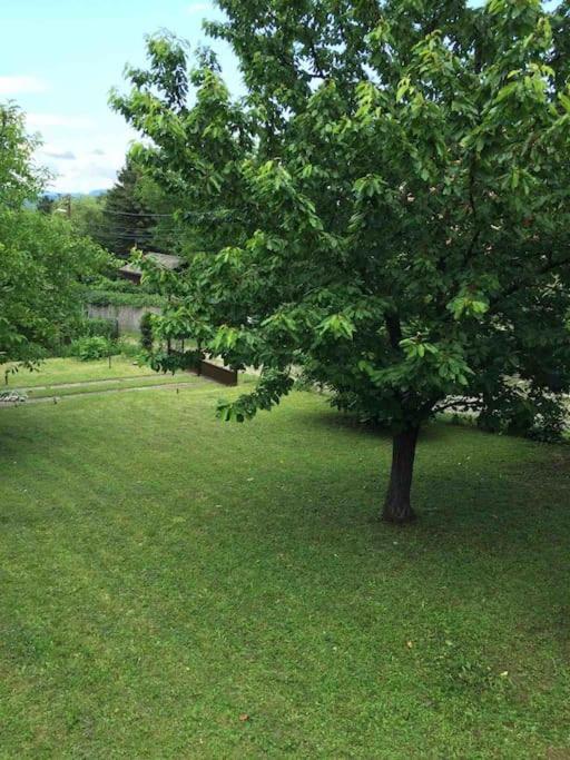Kőkereszt Vendégház Kutyabaràt apartman view 4