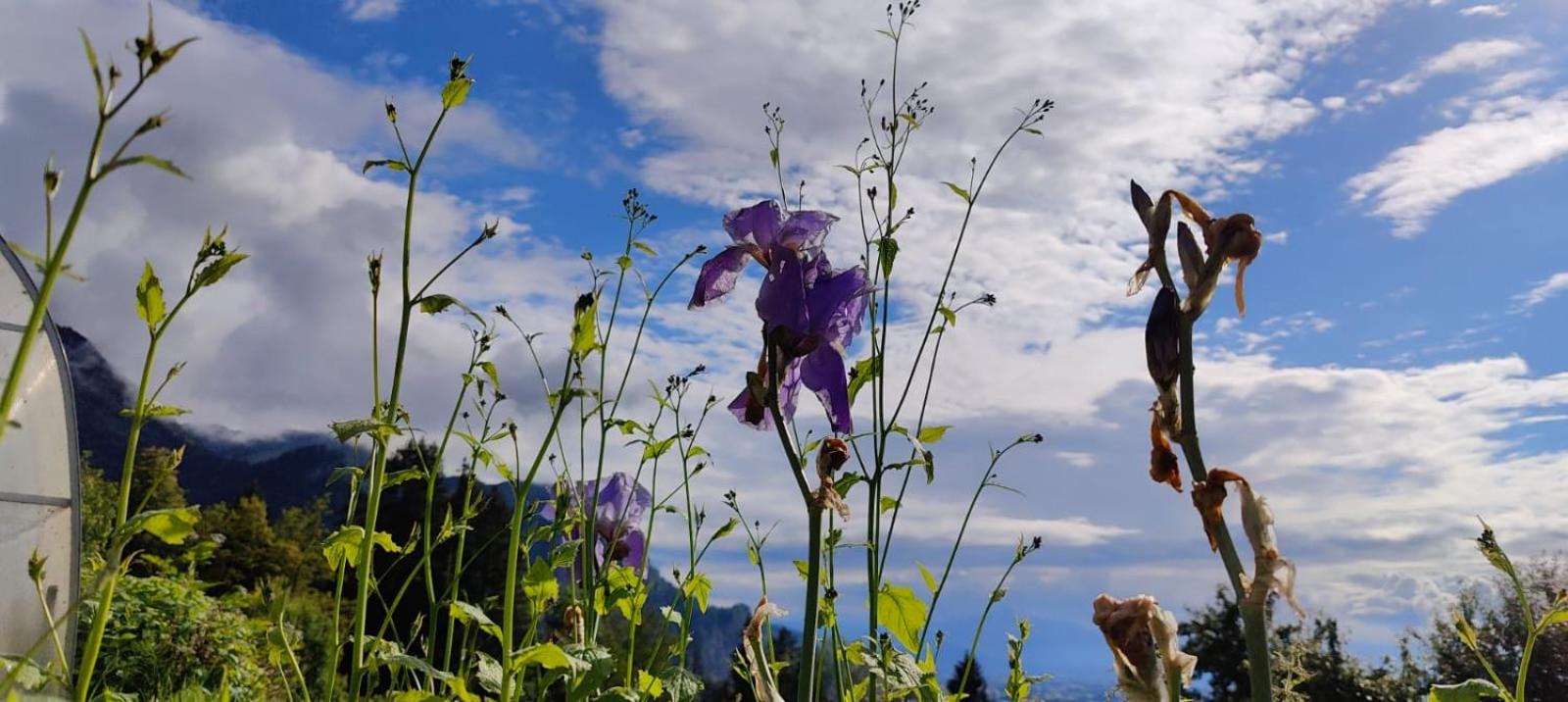Kraft tanken in grüner Oase mit großem Wohnraum und riesigem Garten
