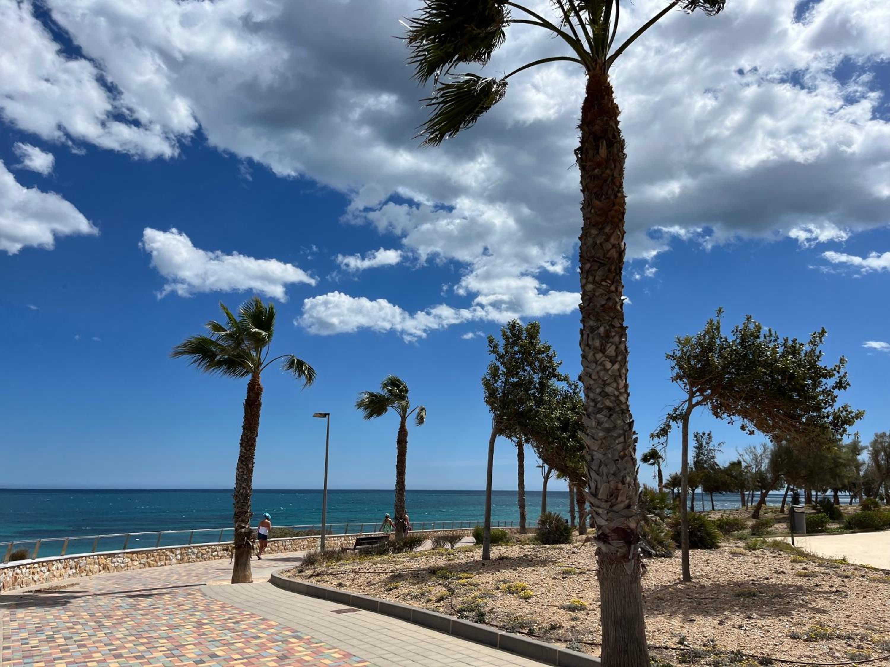 Vista Azul Torre