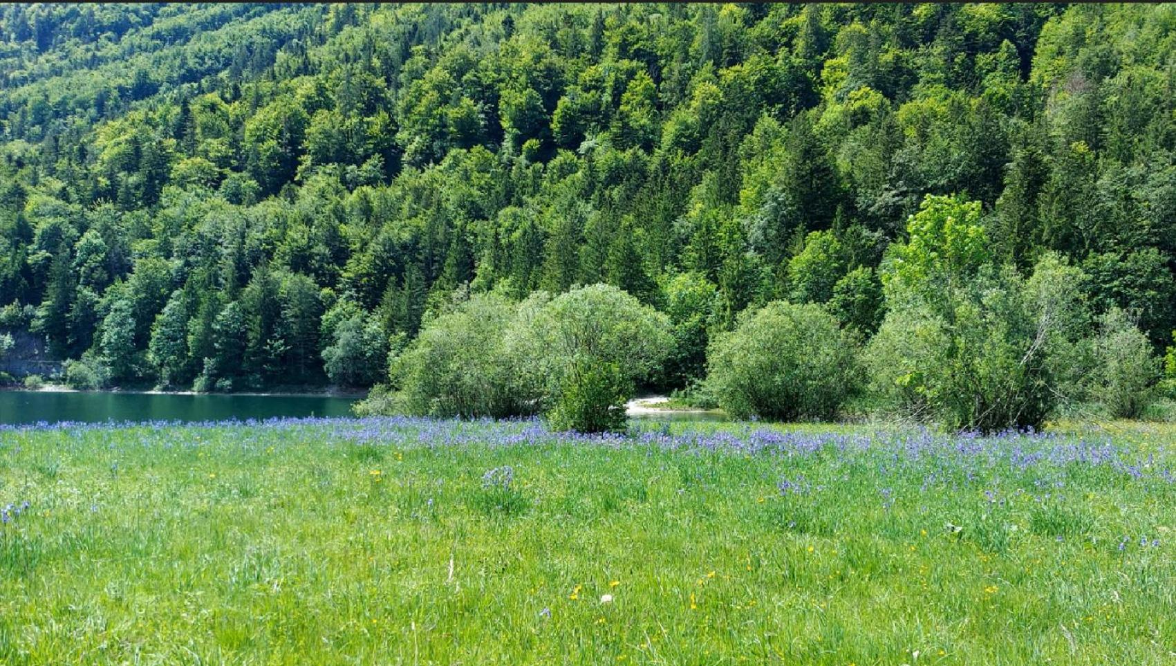 Jägerhaus