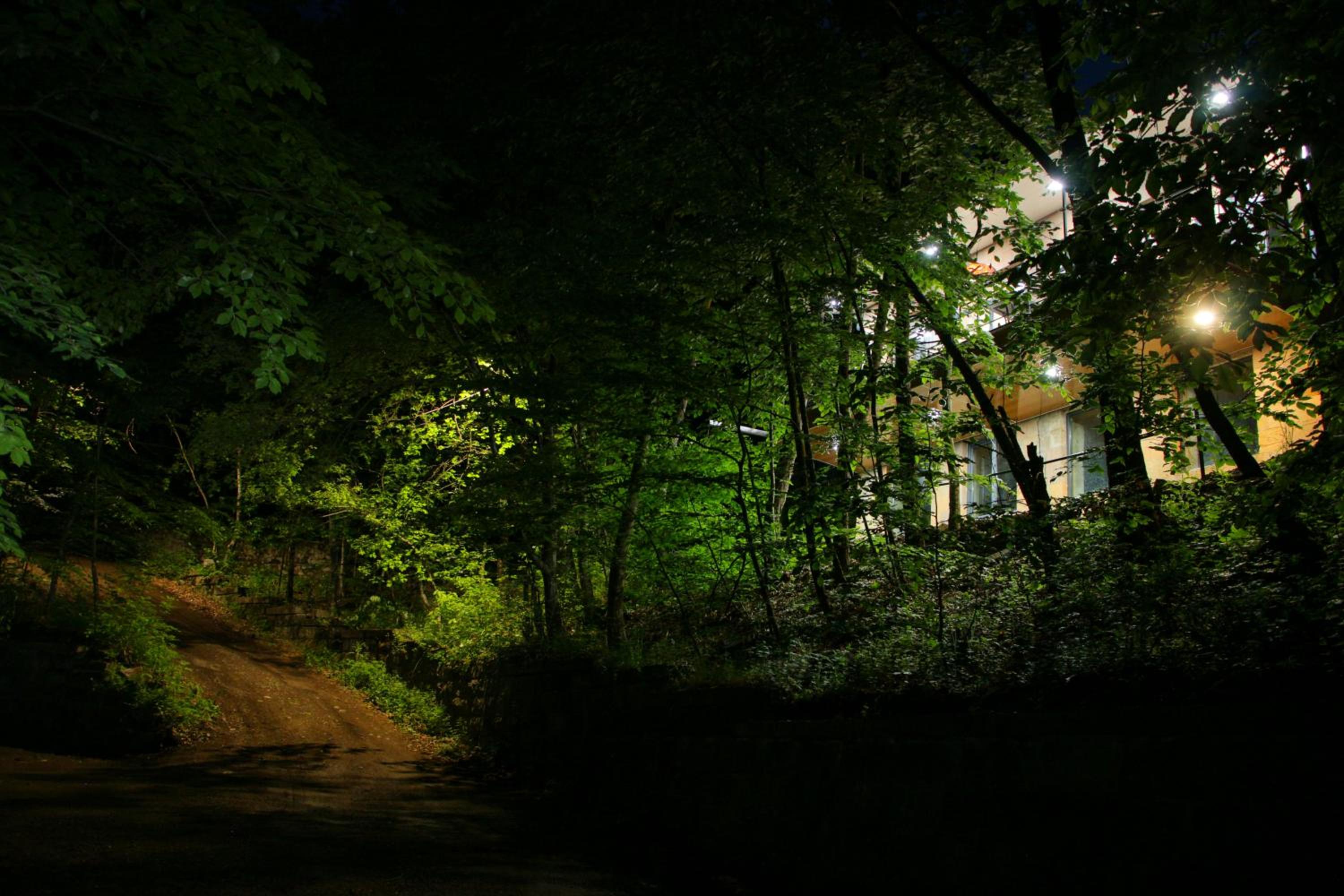 Peaceful 2 Bed I Forest Air I BBQ I Private I Cozy