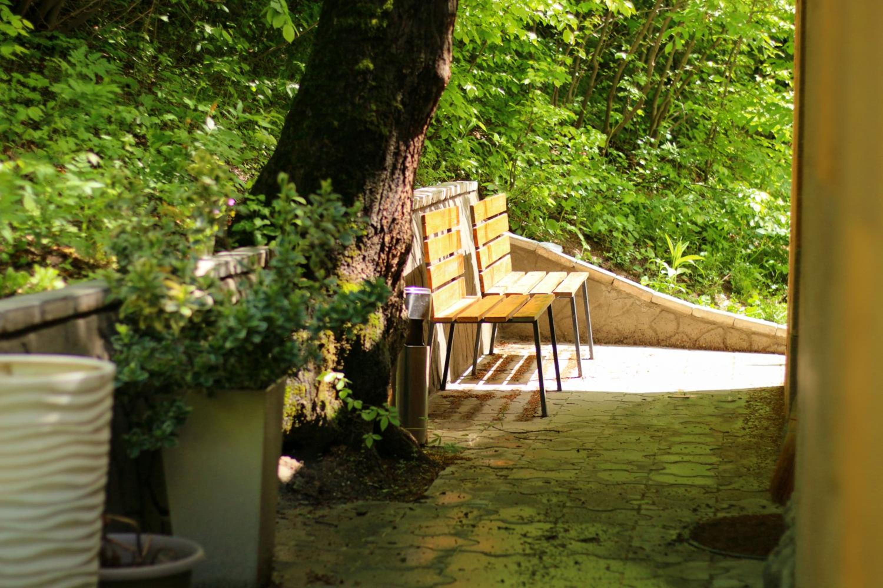 Peaceful 2 Bed I Forest Air I BBQ I Private I Cozy