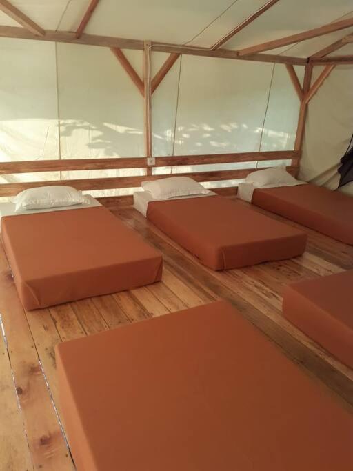 Glamping Teluk Sirih