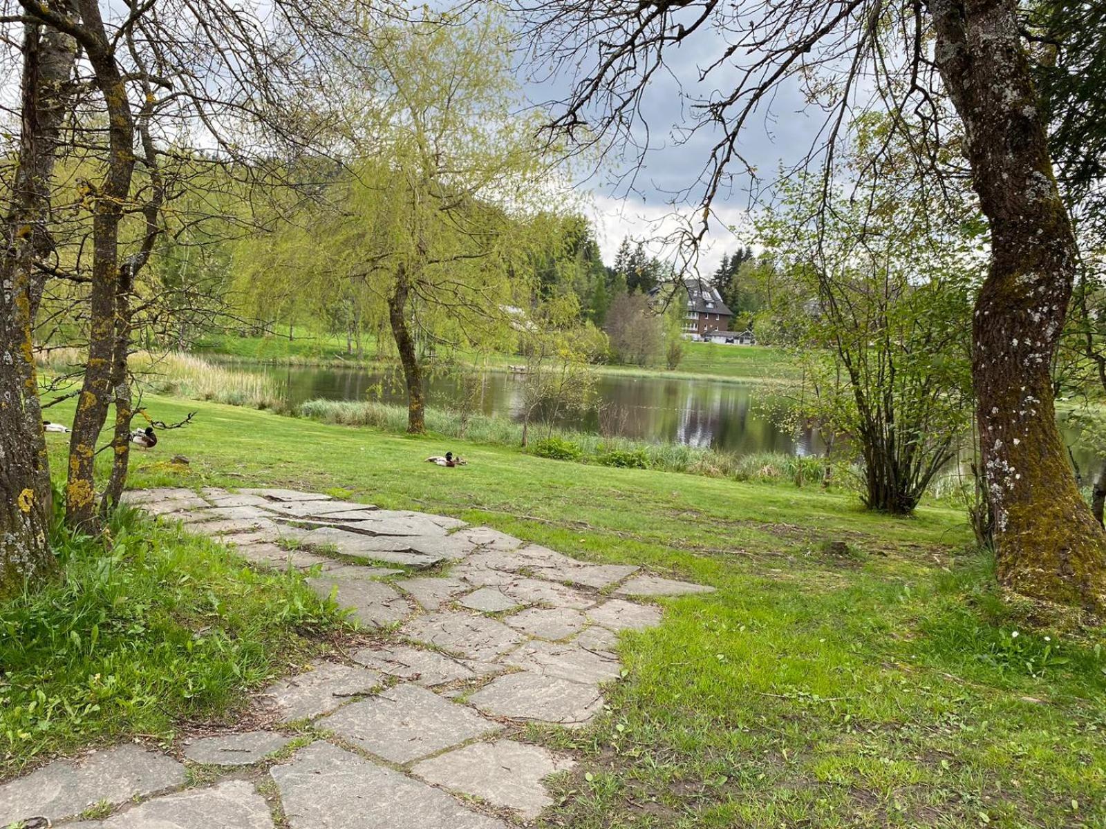 Urlaub in Hochschwarzwald